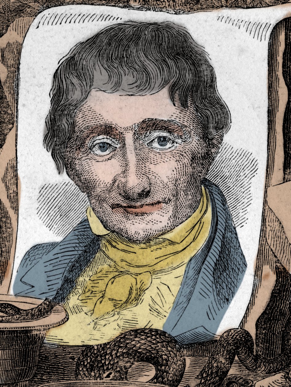 Portrait d