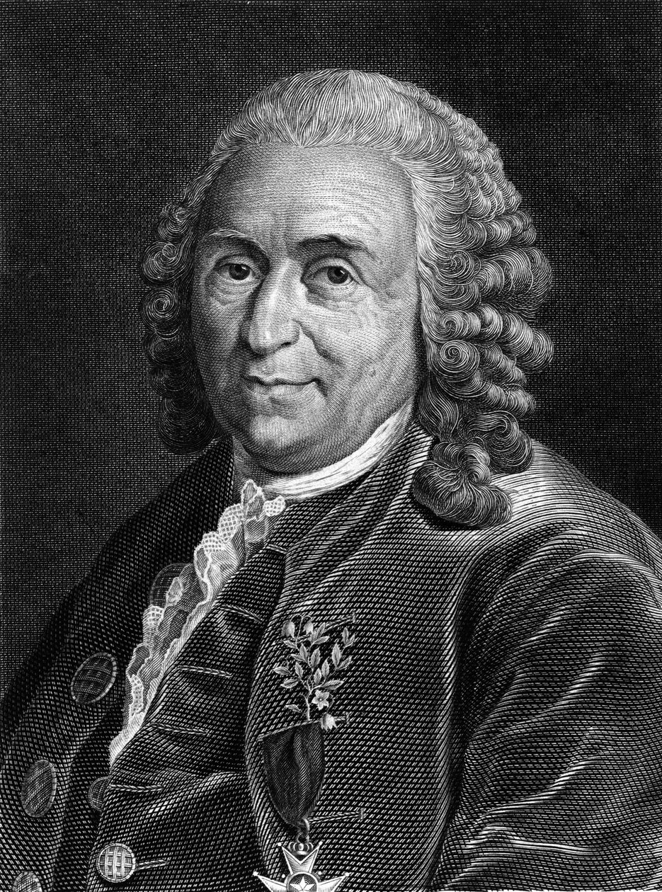 Portrait de Carl Von Linné naturaliste et écrivain suédois (1707 - 1778). Gravure du 19ème siècle - Unknown artist