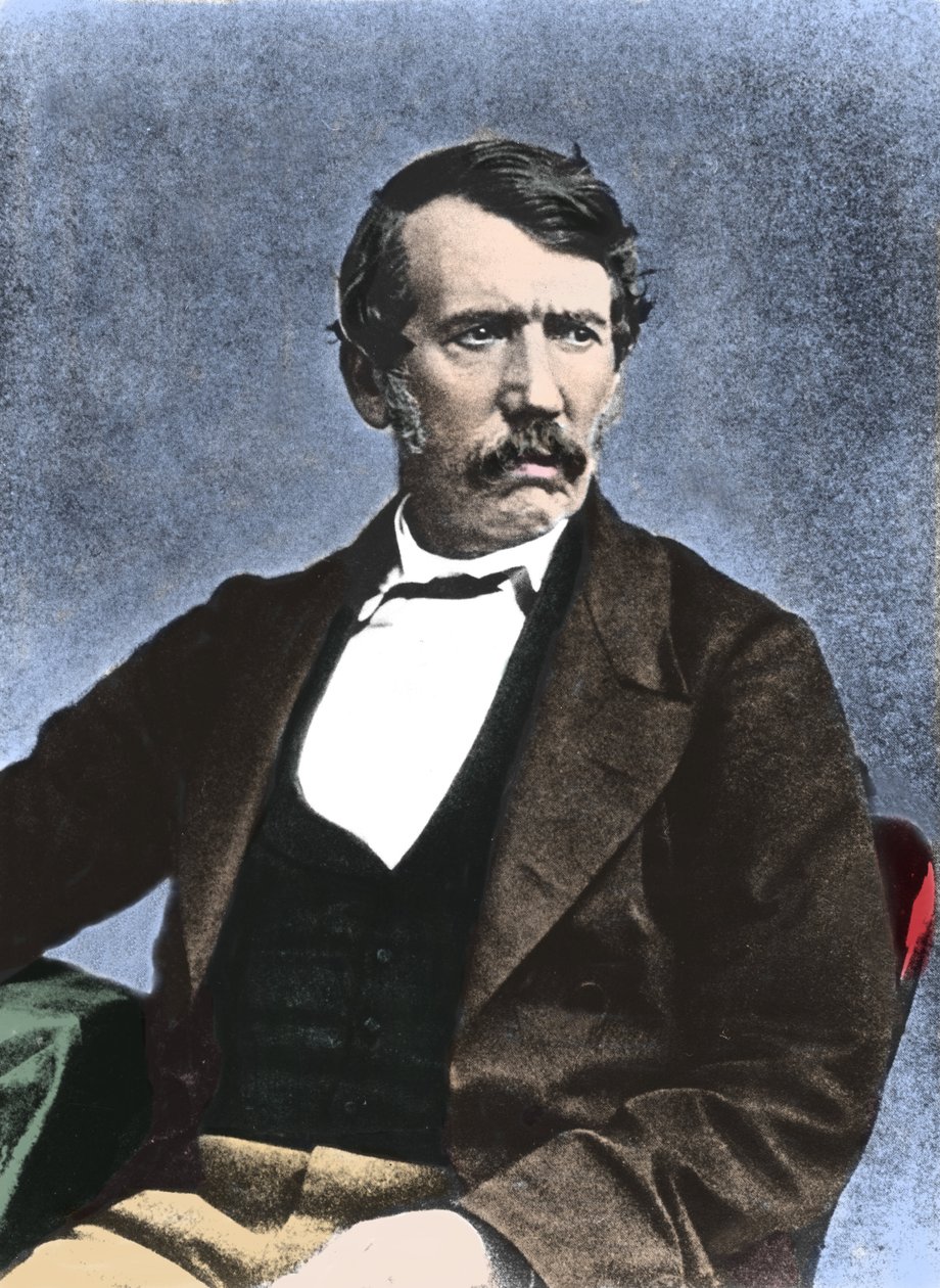 Portrait de David Livingstone, missionnaire et explorateur écossais - Unknown artist