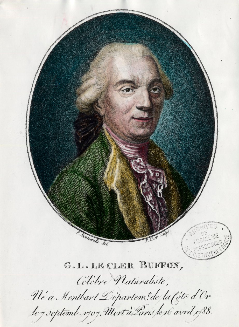Portrait de George Louis Le Clerc, Comte de Buffon - Unknown artist