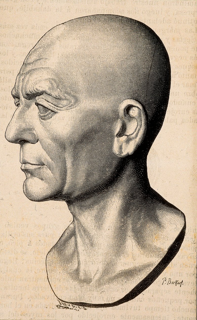 Portrait de Publius Cornelius Scipio (Scipion l