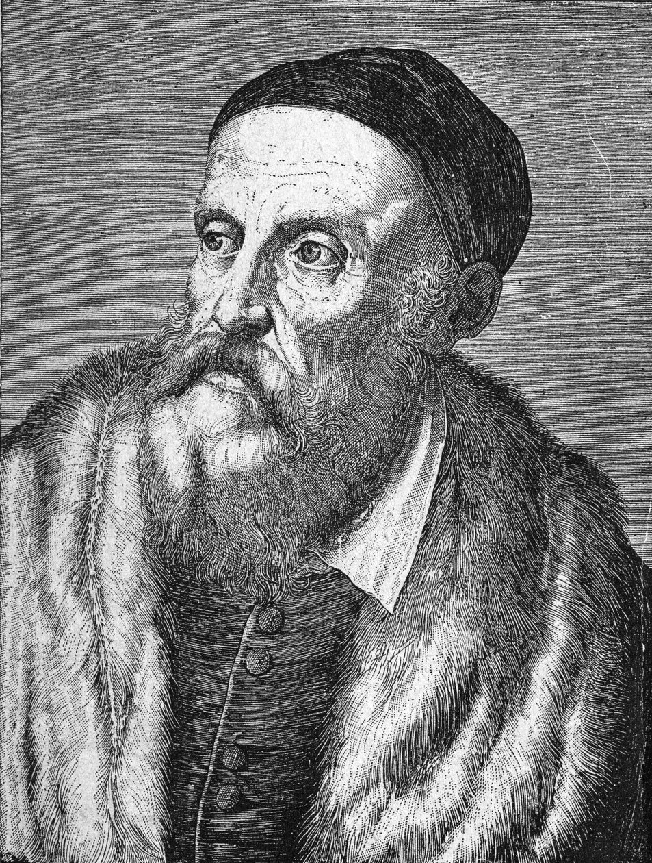 Portrait de Tiziano Vecellio (Le Titien) (1490 - 1576) - Unknown artist