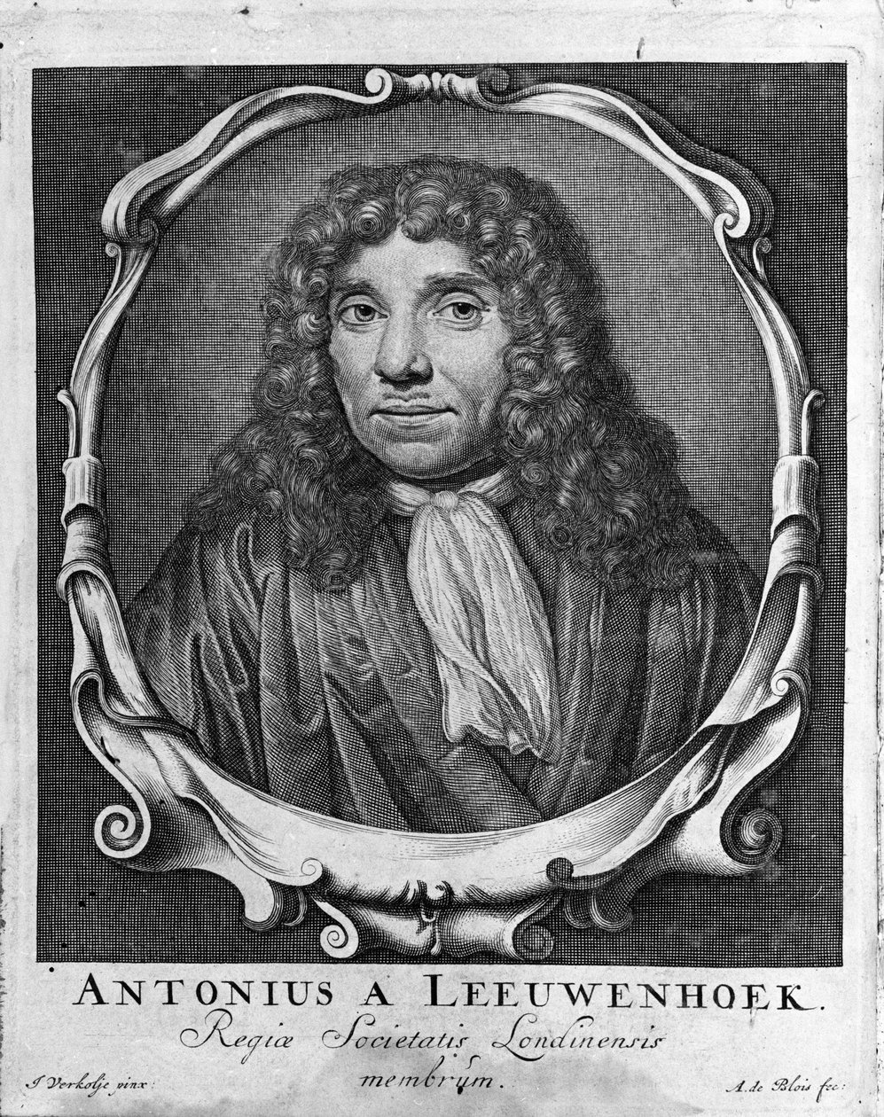 Portrait du commerçant et érudit néerlandais Antoine van Leeuwenhoek (1632-1723). Gravure de "Investigatio Arcanorum" 1722 - Unknown artist