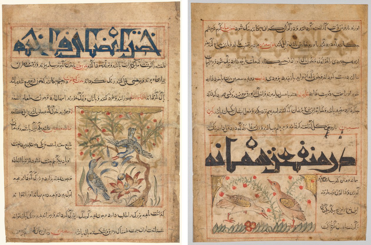 Qualités des pigeons ramiers (recto) ; Sur les bienfaits des cailles (verso), d