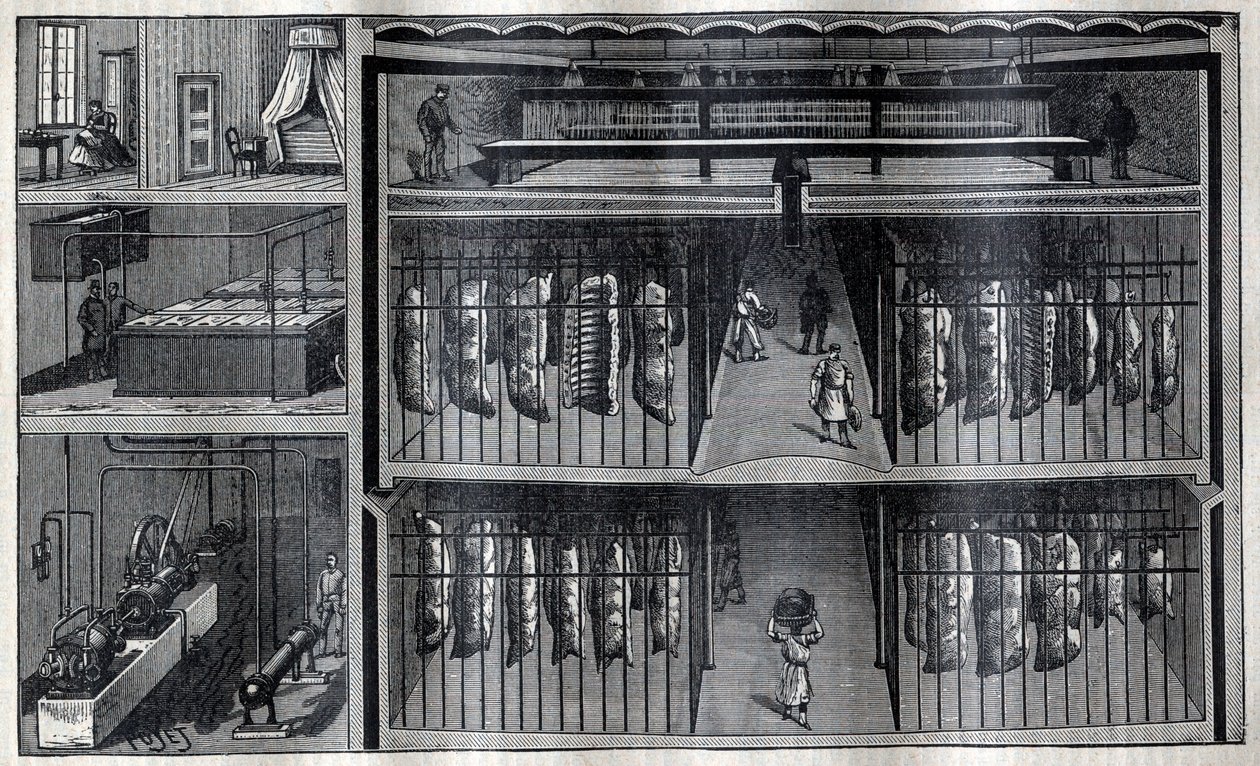 Chambres frigorifiques pour la viande - Gravure dans « La Science française » - Unknown artist