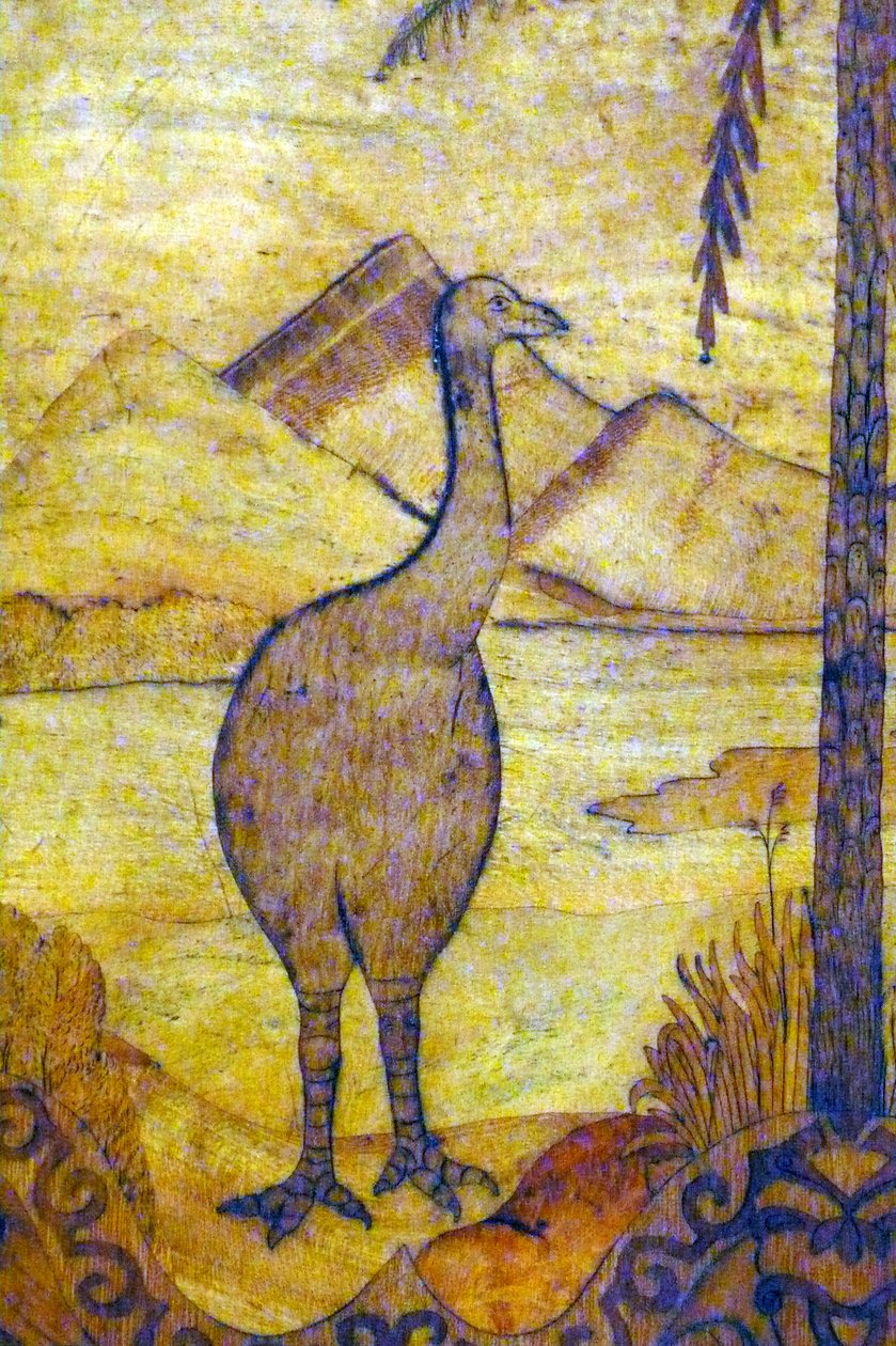 Représentation d