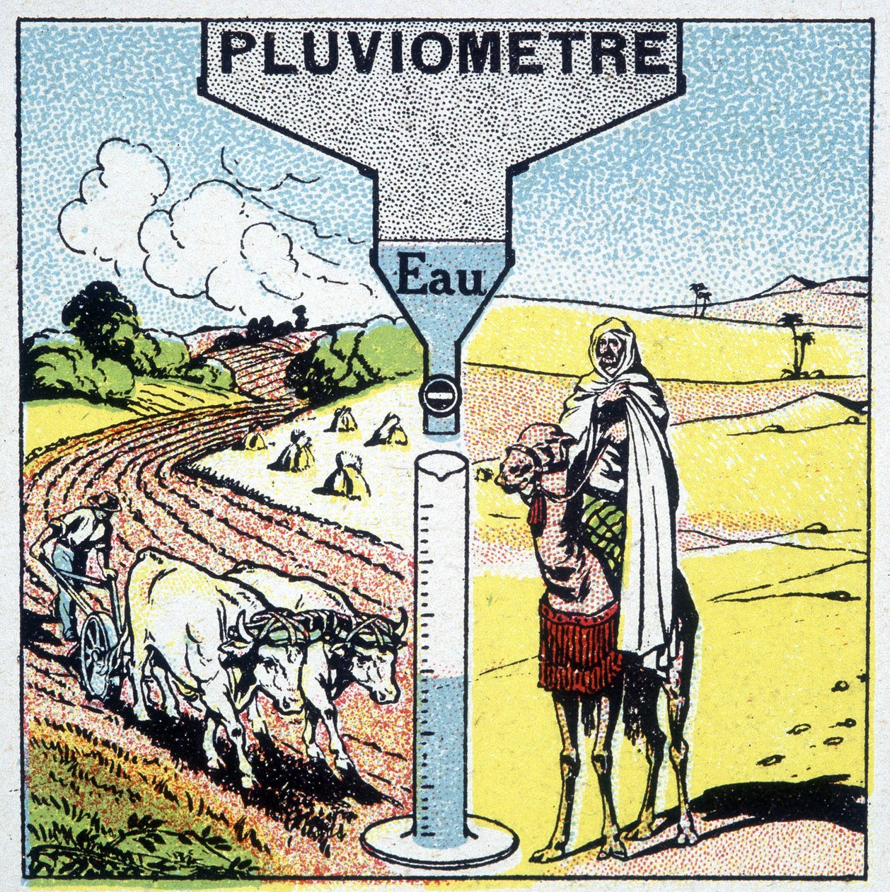 Représentation d