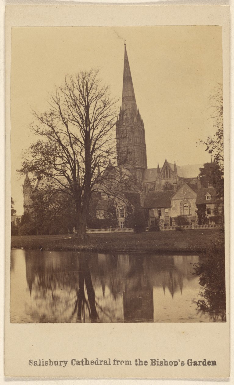 Cathédrale de Salisbury depuis le jardin de l