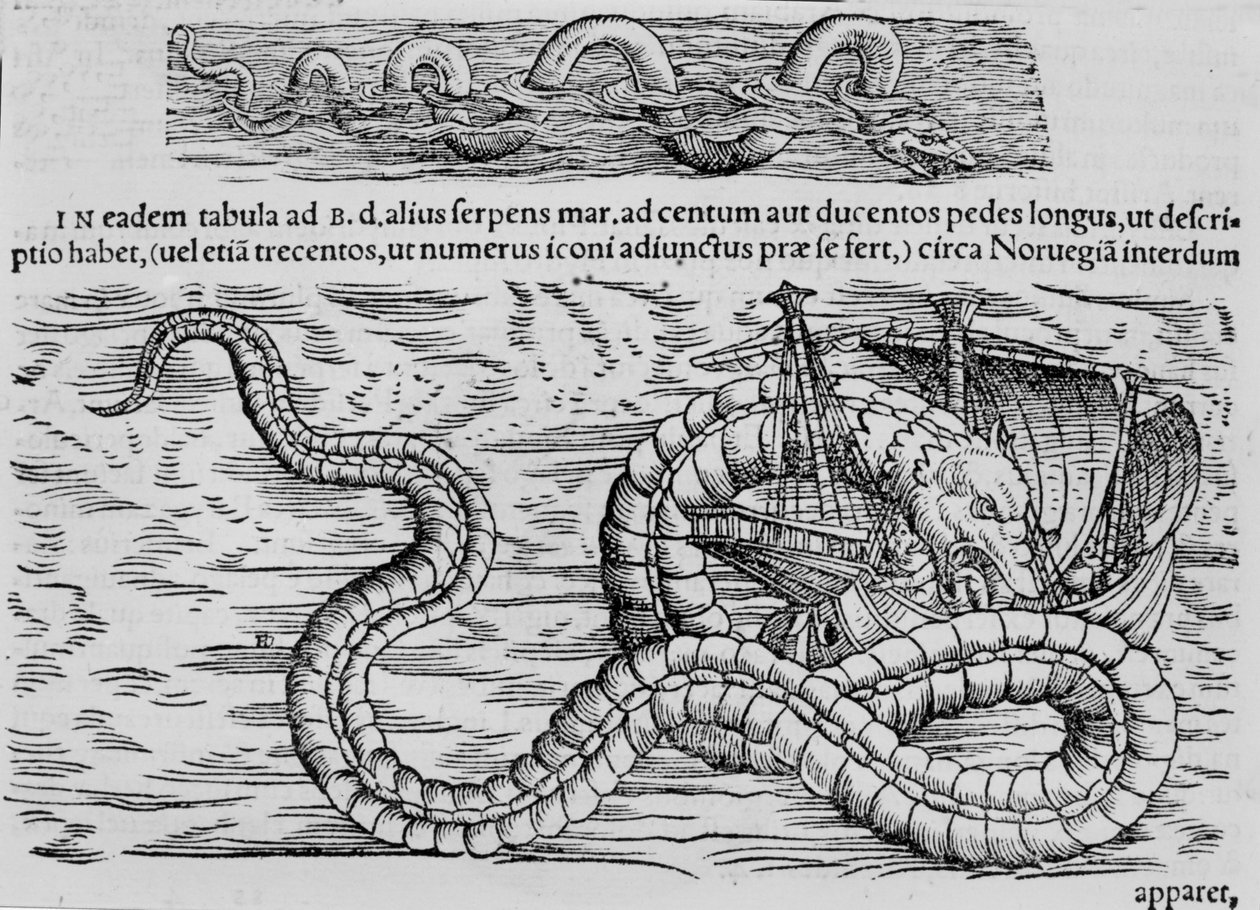 Serpent de mer, créature marine d