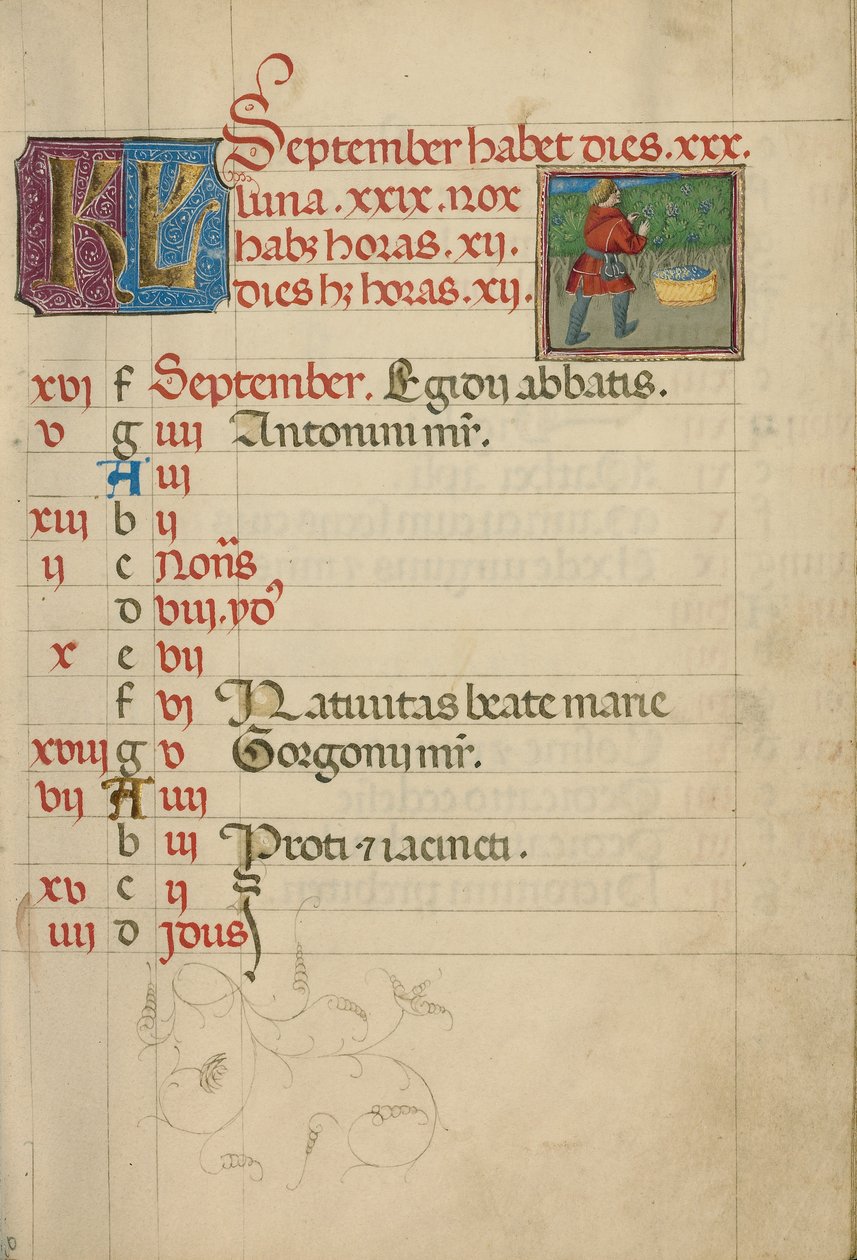 Page du calendrier de septembre ; Récolte des raisins - Unknown artist