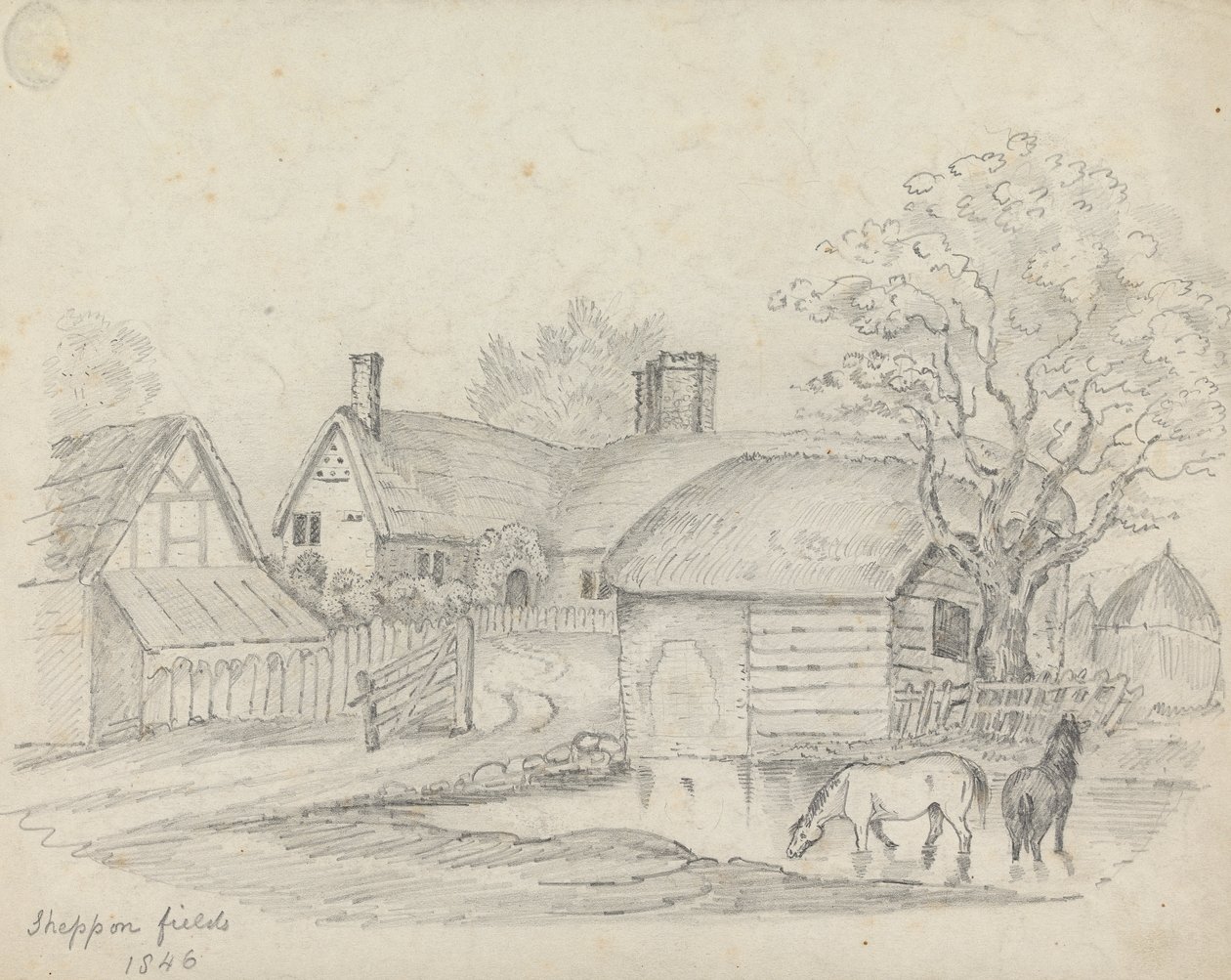 Sheppon Fields - Unknown artist