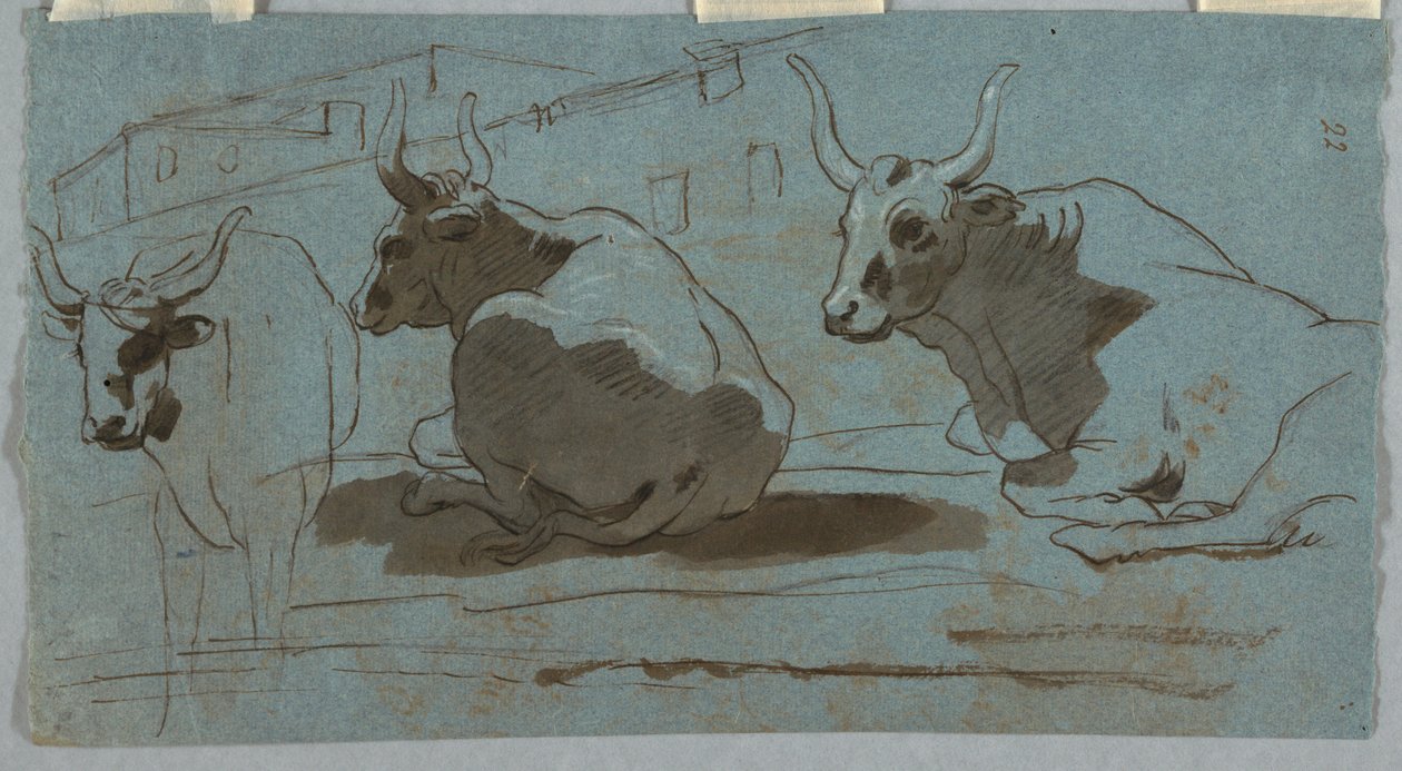 Croquis de taureaux - Unknown artist