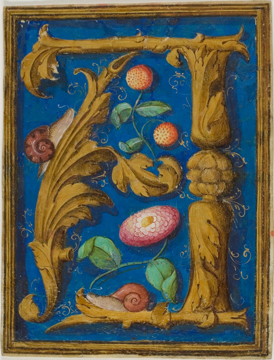 Escargots, fraises et fleur dans une initiale "A" décorée d