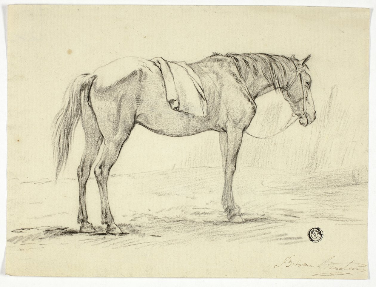 Cheval debout - Unknown artist