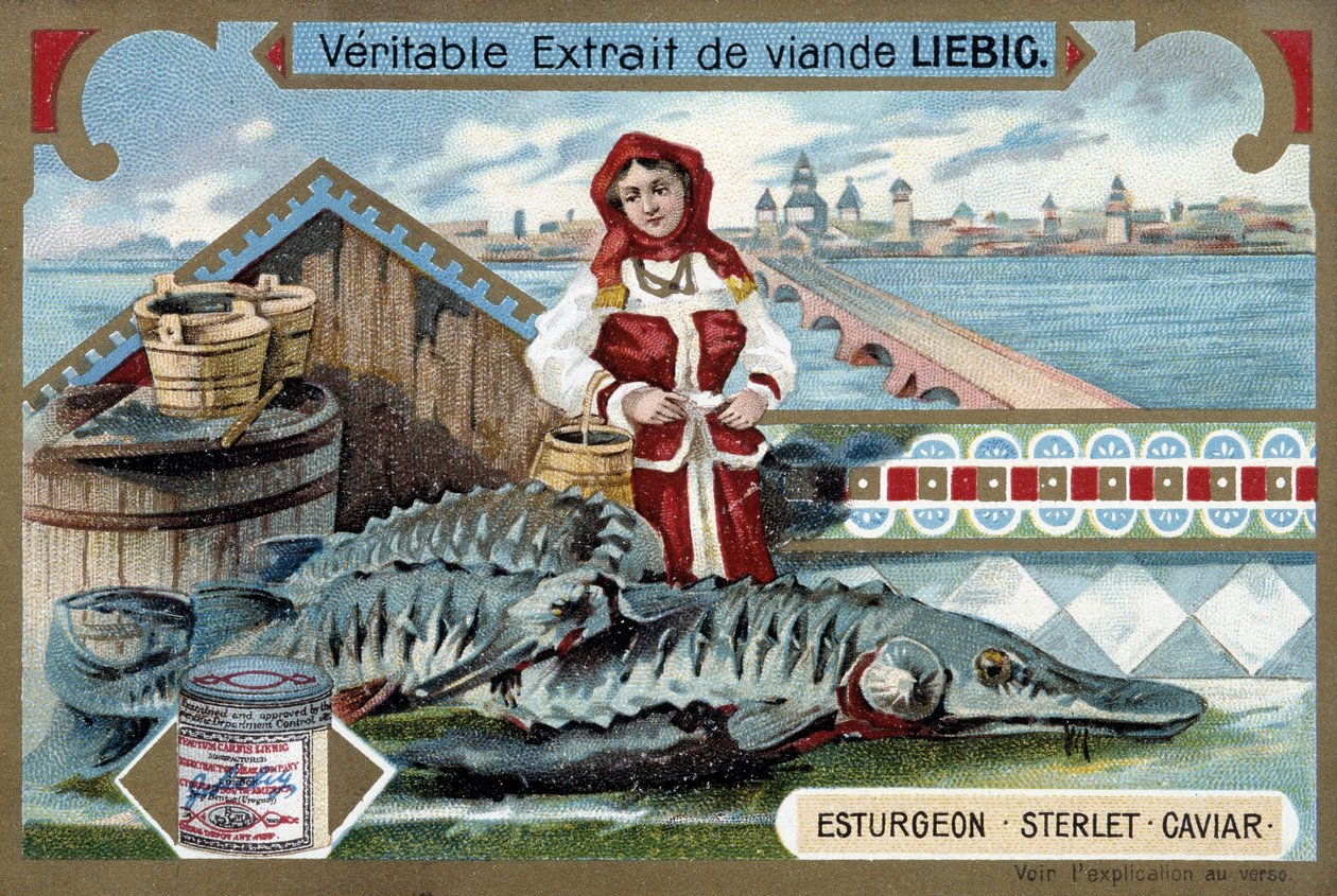 Esturgeon, sterlet, caviar, avec une jeune femme tenant des seaux, devant une ville russe - Chromolithographie Liebig - Unknown artist