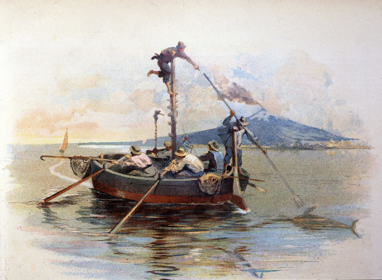 Pêche au harpon de l