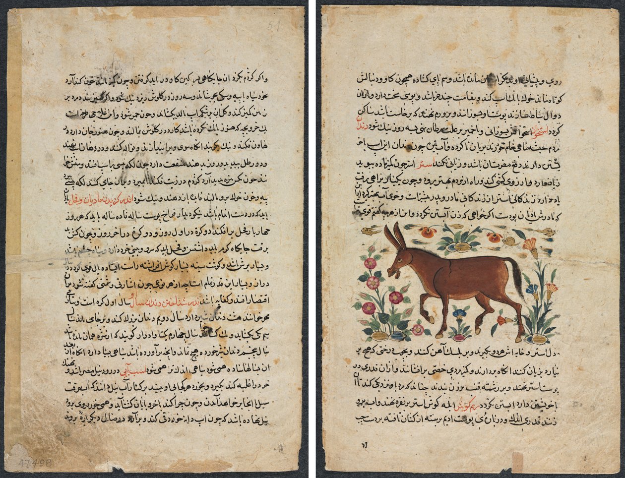 Page de texte, prose persane (recto); Khar (âne) (verso) - Unknown artist