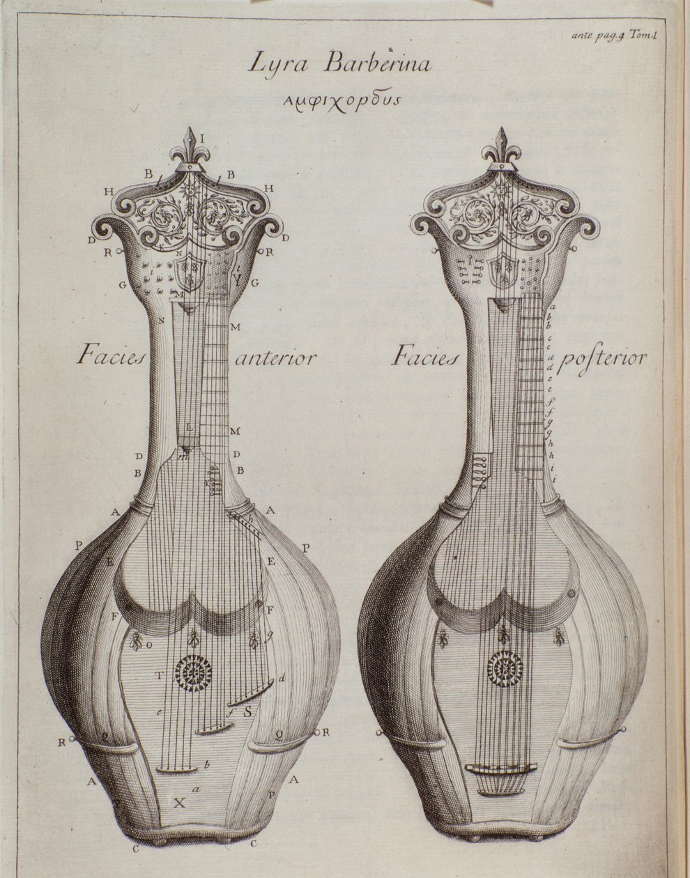 La Lyra Barberina (gravure) - Unknown artist