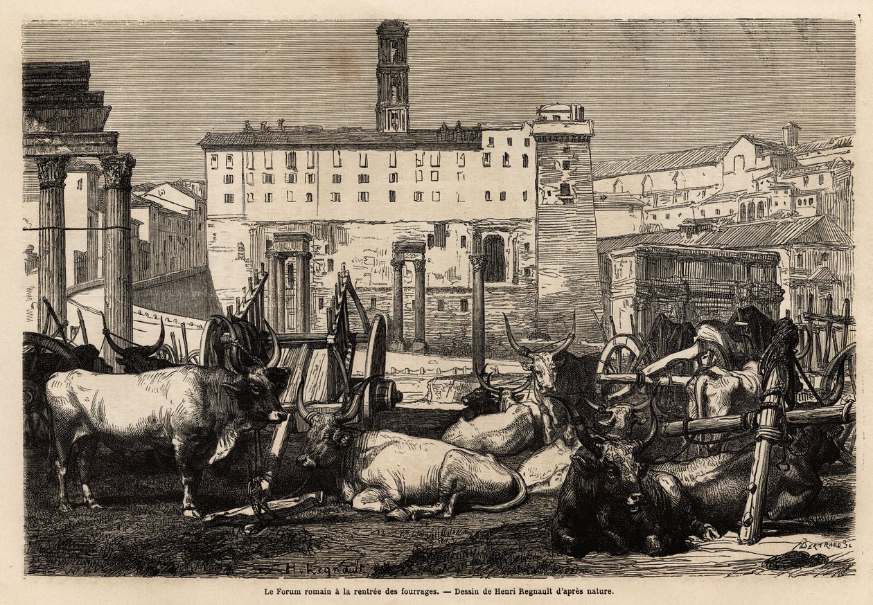 Le forum romain a la location de fourrage, les bœufs se couchent au milieu des charrettes et des ruines antiques. Gravure pour illustrer le voyage à Rome, par Francis Wey, en 1864-1868, publié dans « Le tour du monde » 1869, édité par Edouard Charton, édit - Unknown artist