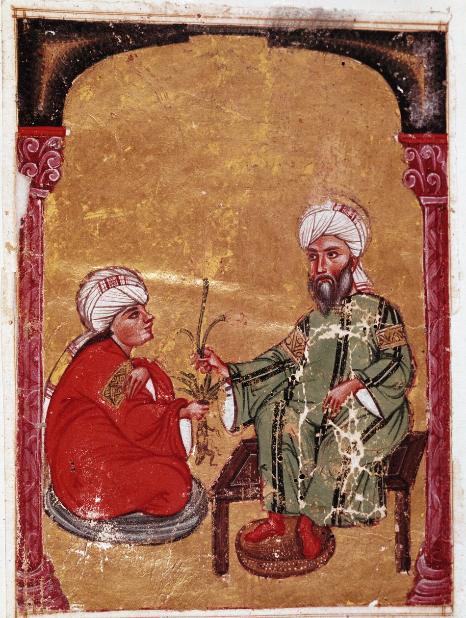 Le médecin et botaniste Pedanius Dioscoride (Pedanius Dioscorides) (40-90 après J.-C.) assis avec un de ses élèves Miniature de son traité "De materia medica" (ms Ahmed III, 2147, folio 217a) 1229 Bibliothèque du musée Topkapi Sarayi, Istanbul - Unknown artist