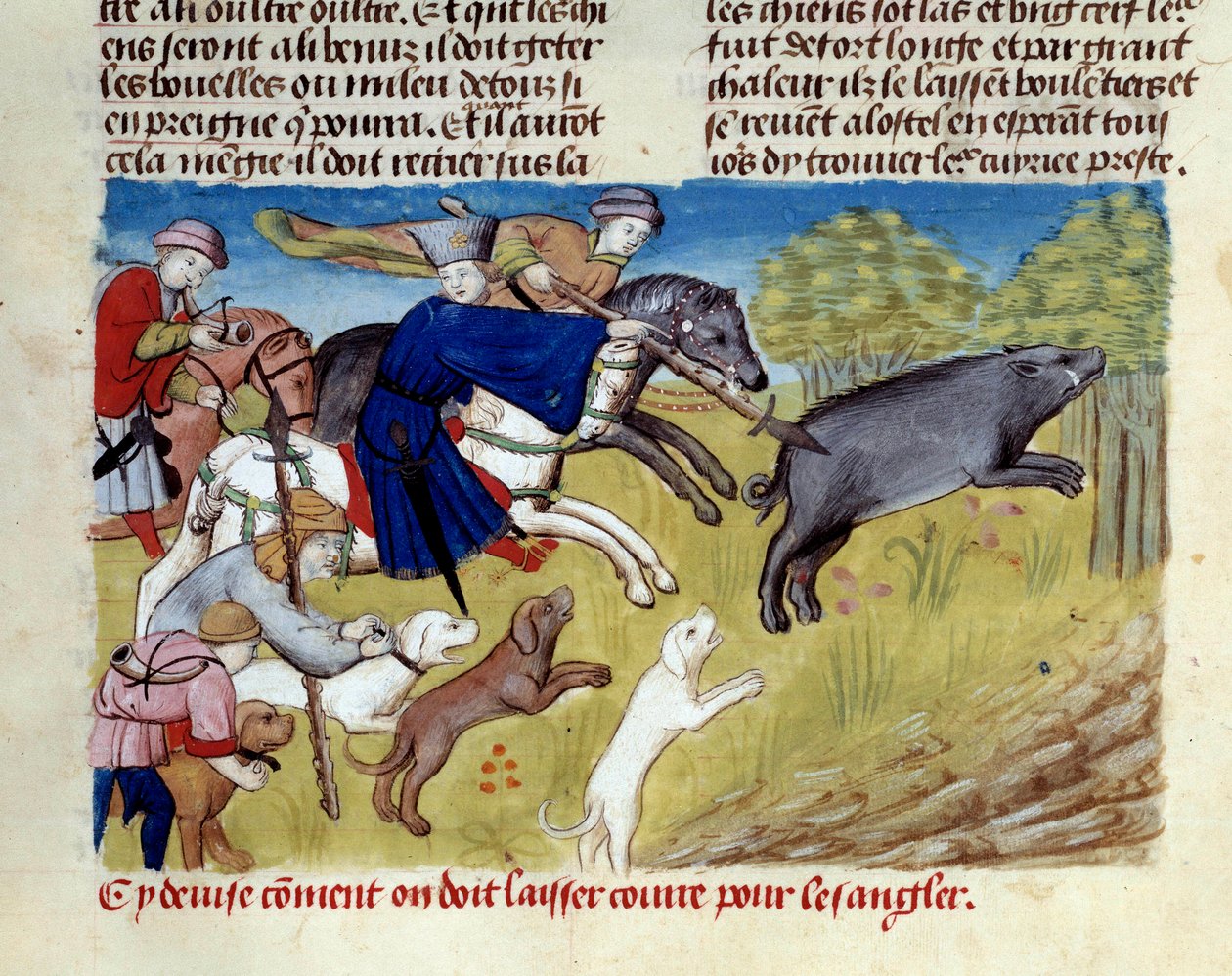 La chasse au sanglier miniature tirée de « Le livre de la chasse » par Gaston III Phoebus, comte de Foix, seigneur de Béarn (1331-1391) - Unknown artist