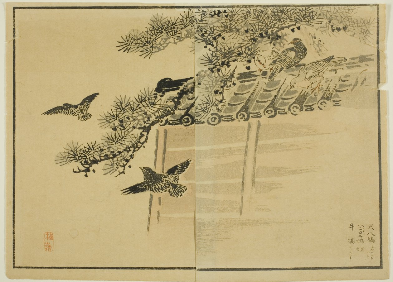 Trois sortes d