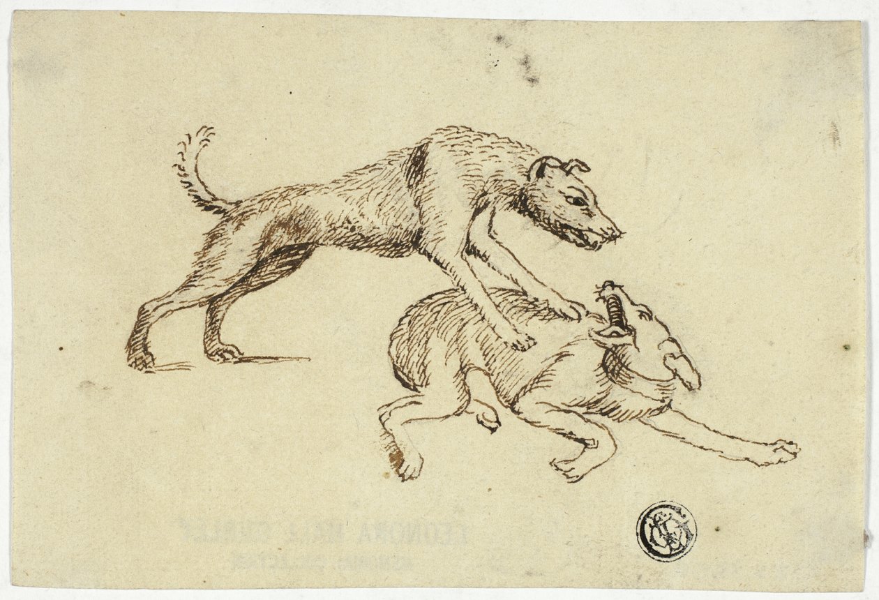 Deux chiens qui se battent - Unknown artist