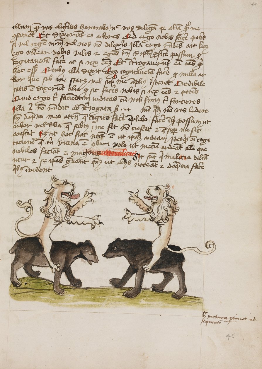 Deux lions assis sur le dos de deux ours - Unknown artist