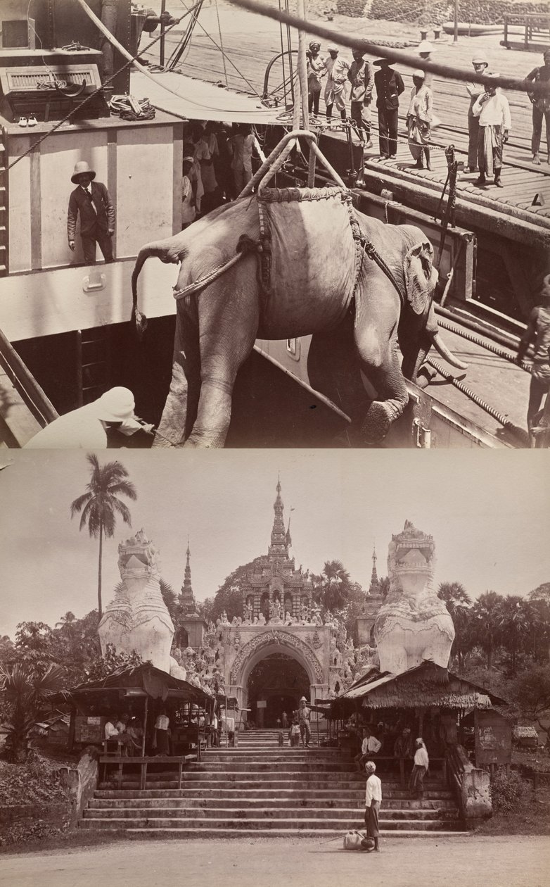 Sans titre : (éléphant chargé sur un bateau, recto) ; (marches et bâtiment, verso) - Unknown artist