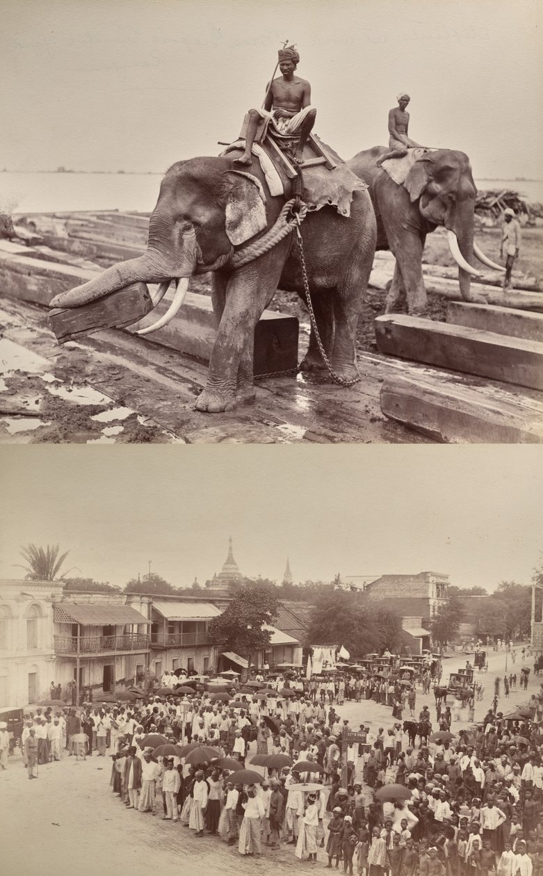 Sans titre : (éléphants déplaçant des blocs de bois, recto) ; (procession ou foule, verso) - Unknown artist