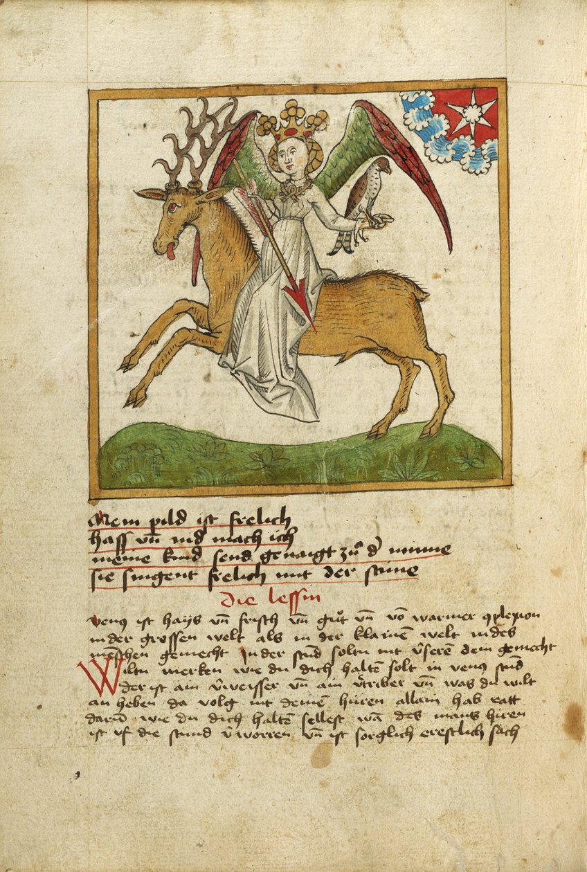 Vénus à cheval sur un cerf - Unknown artist