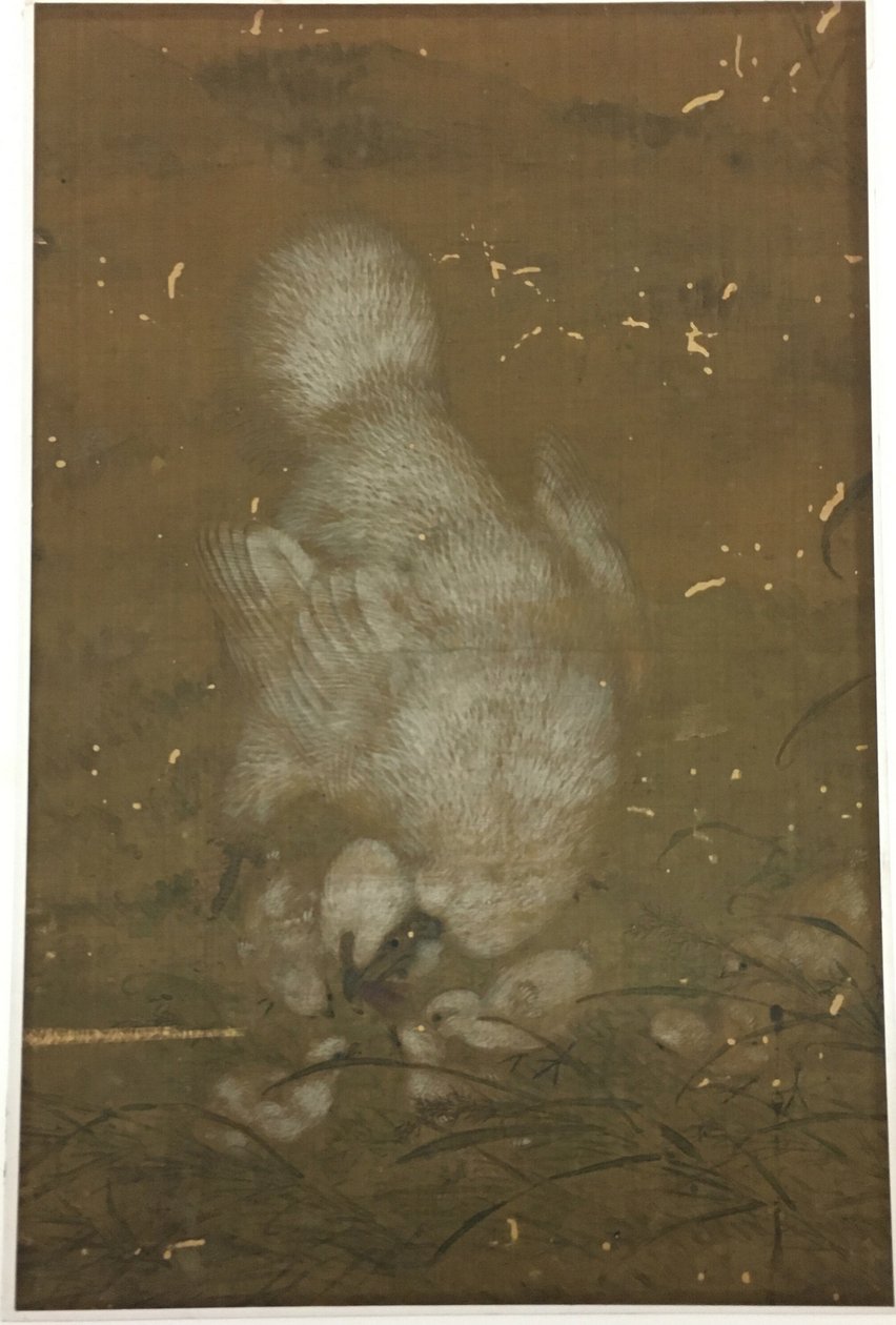 Poule blanche et poussins - Unknown artist