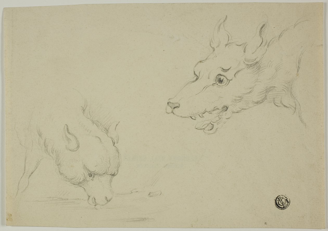 Loup et Agneau - Unknown artist