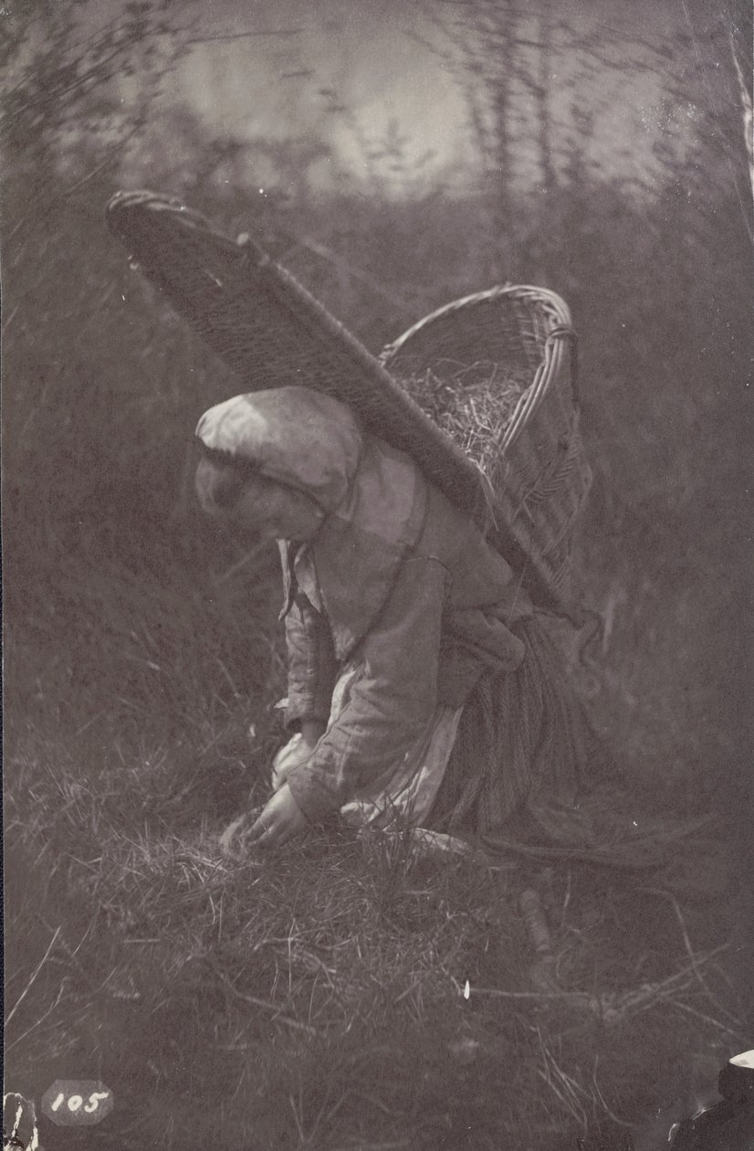 [Femme avec un panier sur le dos] - Unknown artist