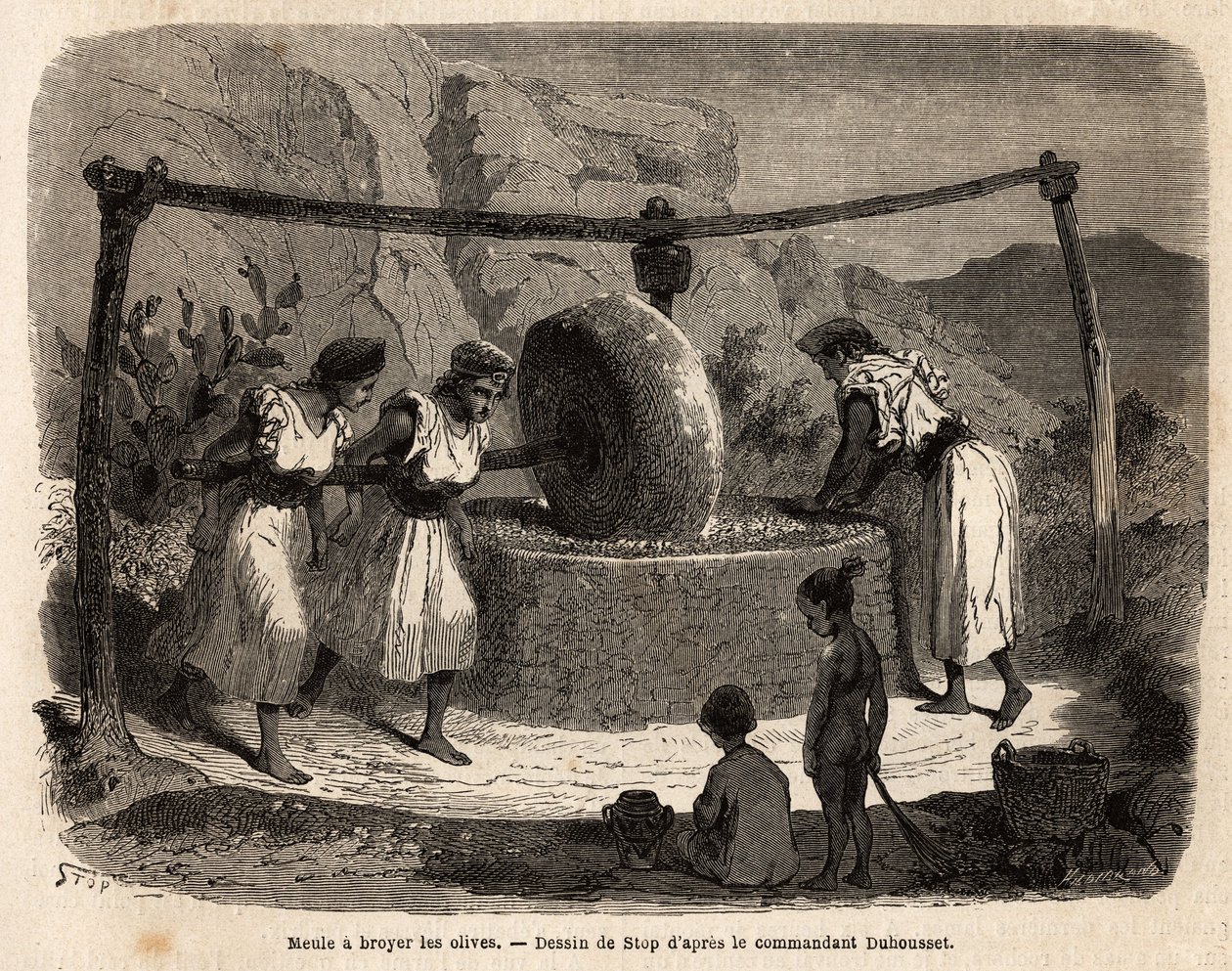 Travail des femmes, moulin à olives, l