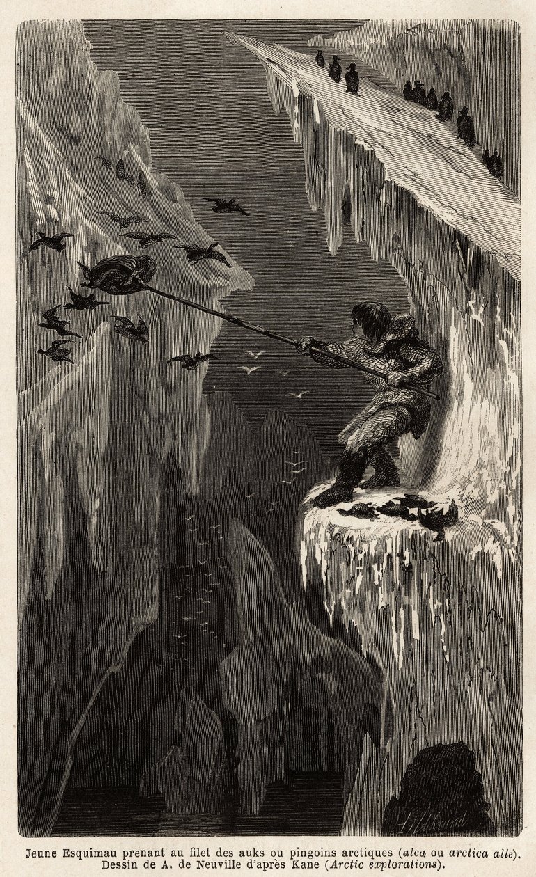 Jeune esquimau attrapant des manchots arctiques. Gravure pour illustrer le voyage vers la mer libre du pôle Arctique, par le Docteur Hayes, chirurgien de la Marine des États-Unis, 1860-1862, publié dans « Le tour du monde, nouveau journal des voyages » - Unknown artist