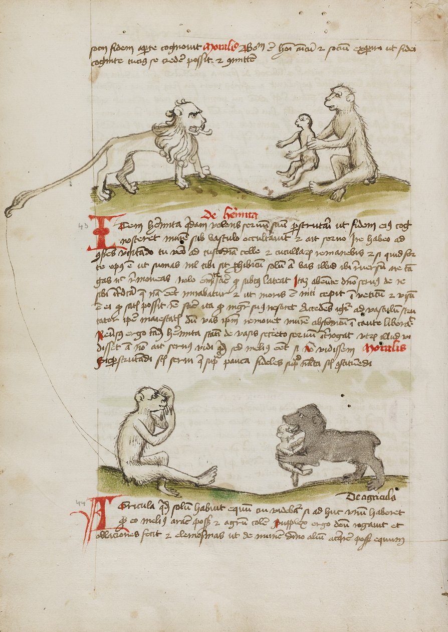 Un lion avec un singe et son petit ; un singe ; un ours mangeant un jeune singe - Unknown artist/maker