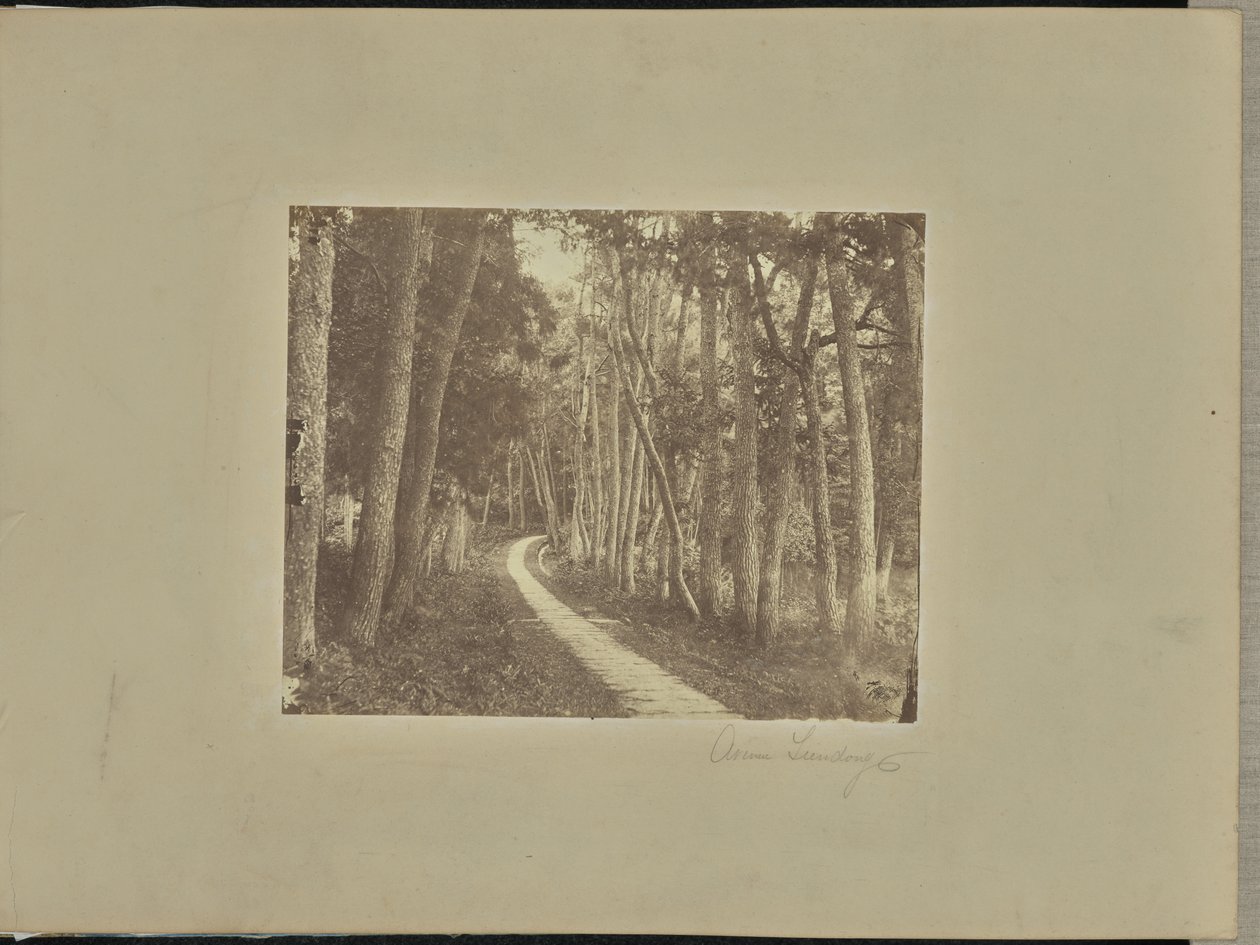 Avenue Tiendong - Unknown artist/maker
