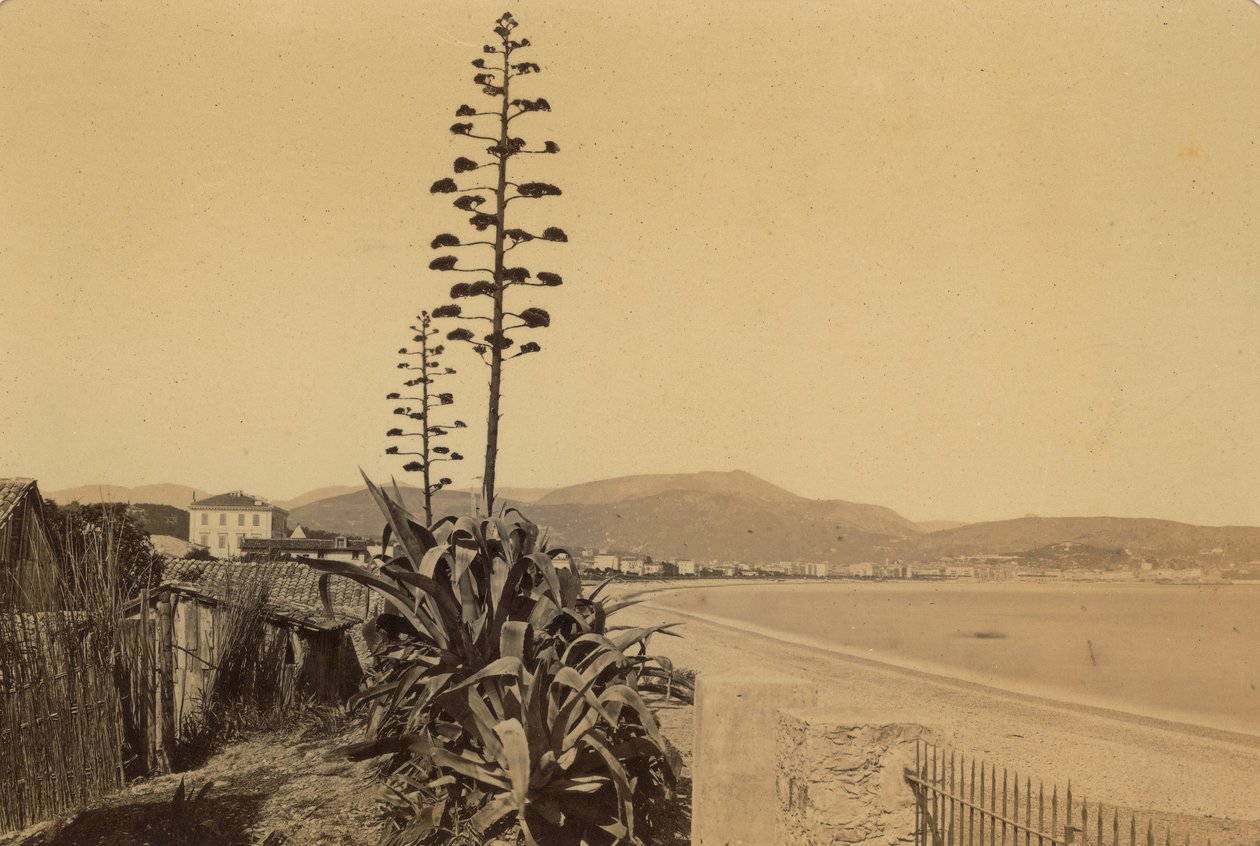 Album "Nice et les environs": vue de la côte de Nice - Unknown photographer
