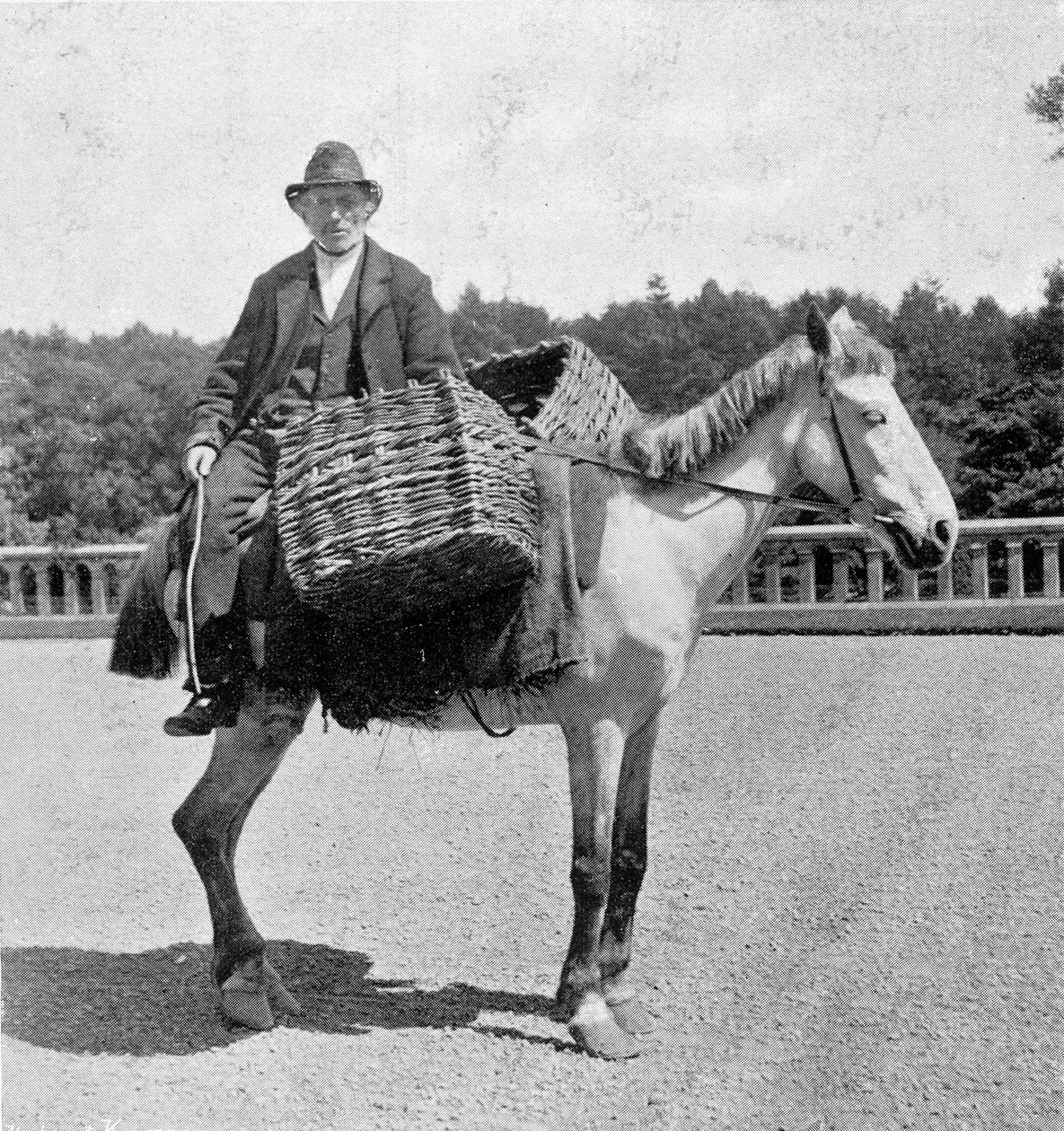 Irlandais sur son cheval (19ème siècle) - Unknown photographer