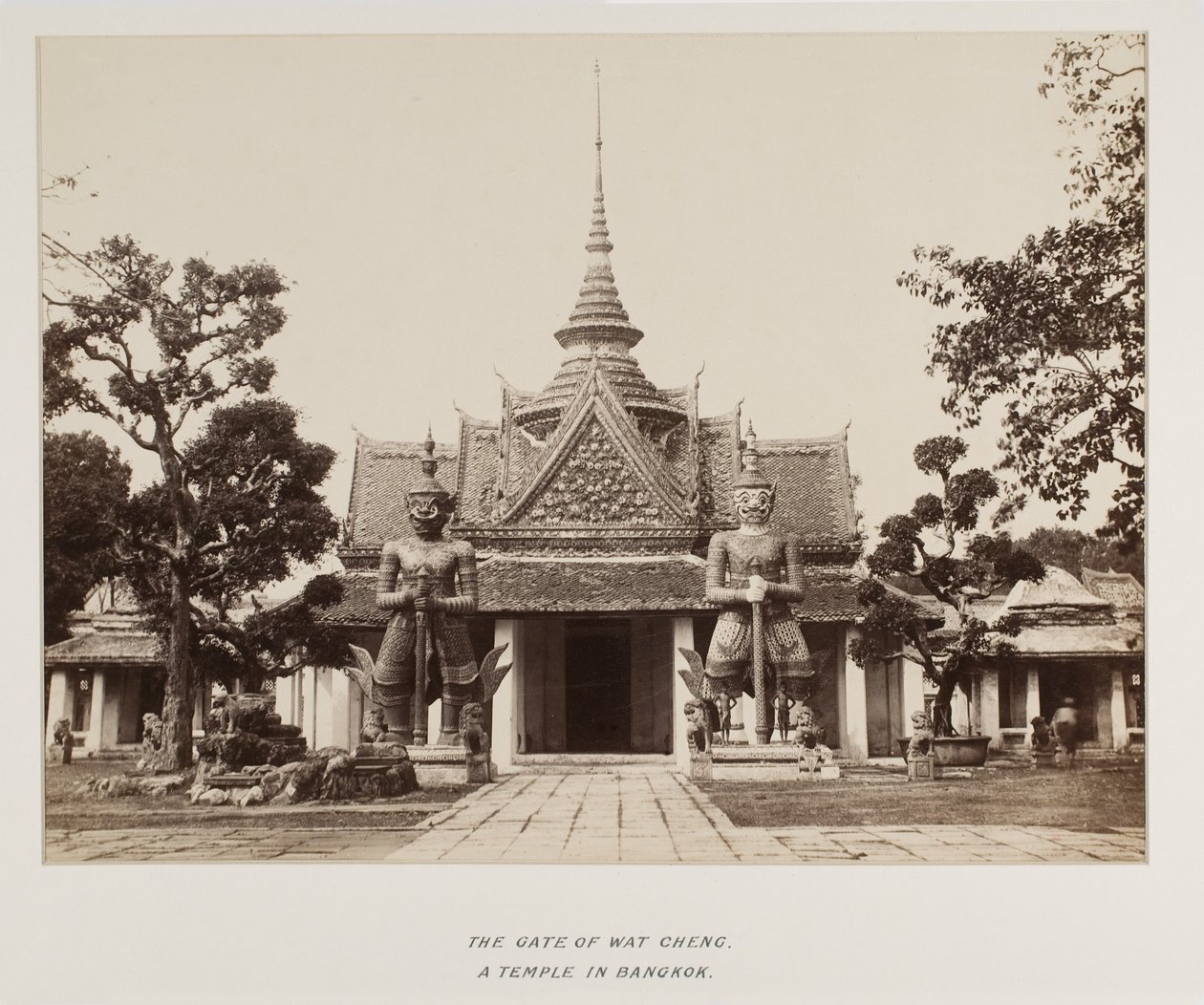 Photographie dans un album photo - Unknown photographer