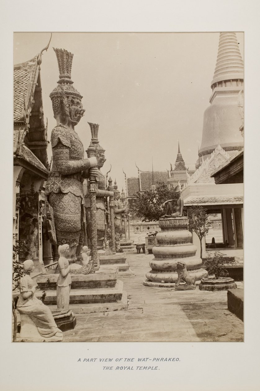 Photographie dans un album photo - Unknown photographer
