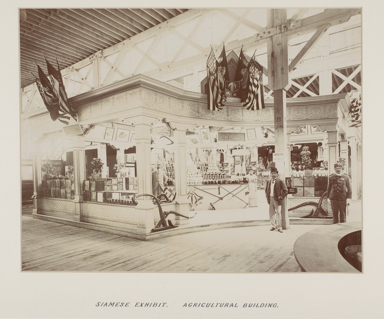 Photographie dans un album photo - Unknown photographer