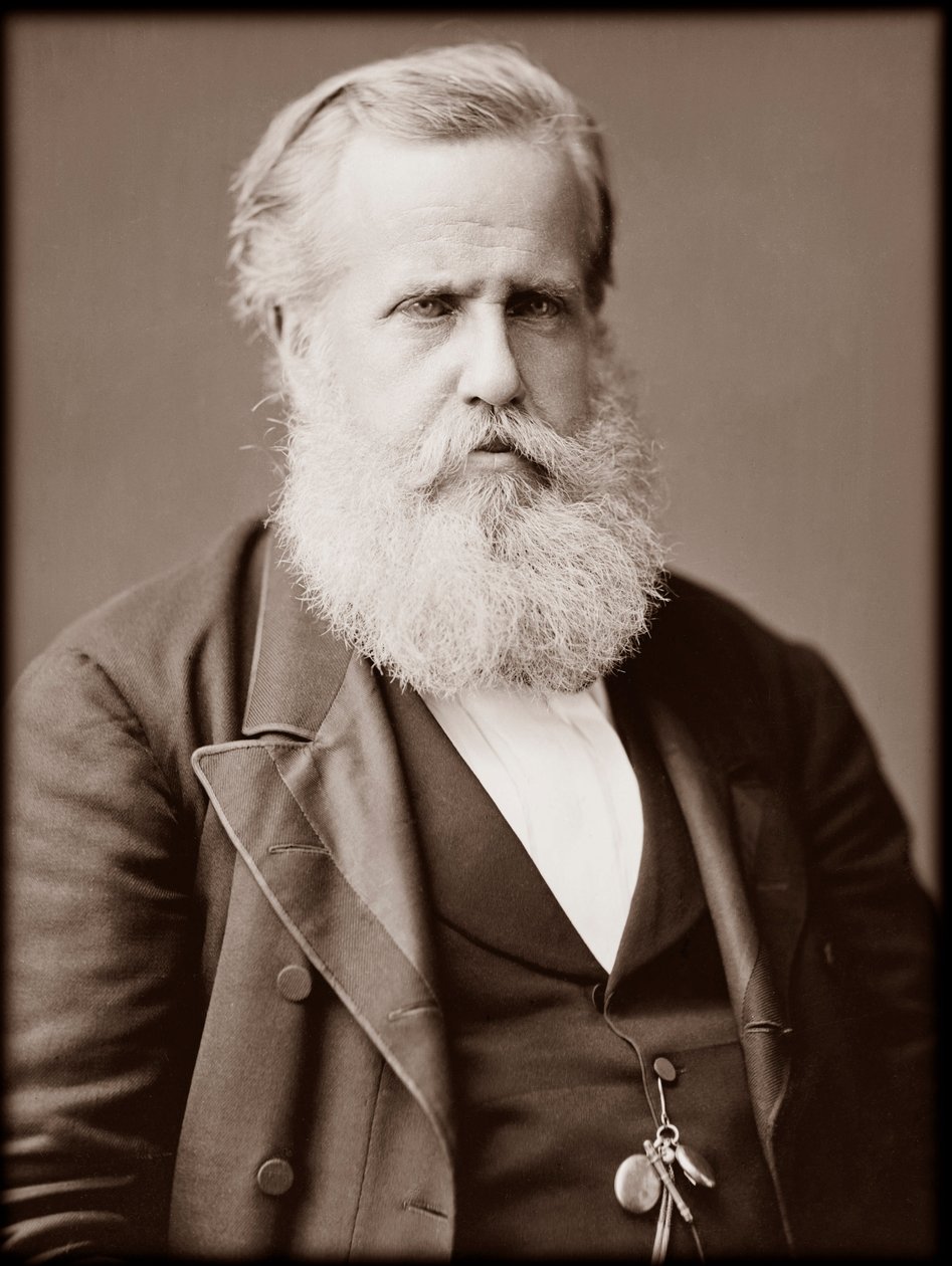 Portrait de Dom Pedro II (Pierre II) (Dom Pedro de Alcântara) (1825-1891), empereur du Brésil - Unknown photographer