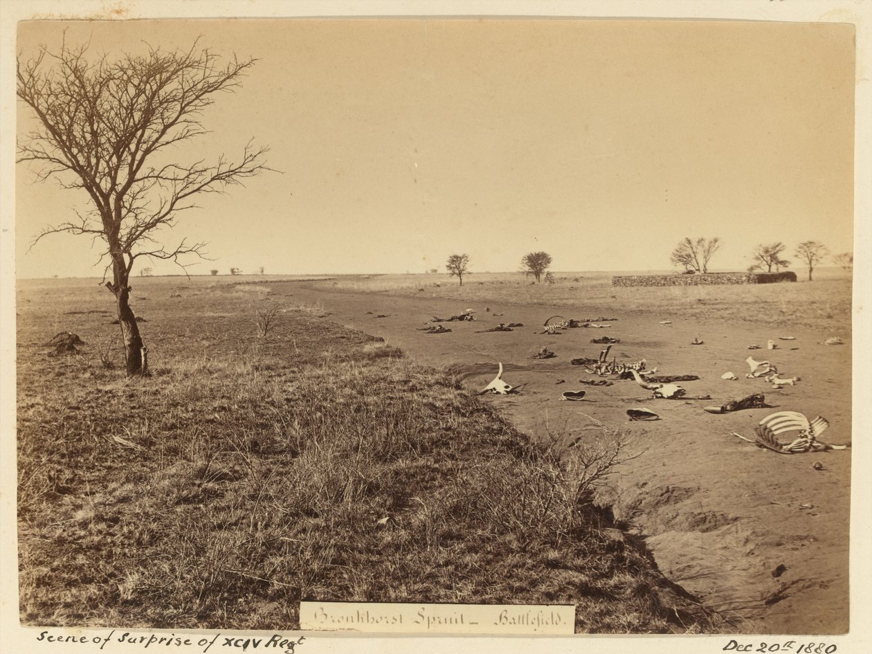 Scène de surprise du 94e régiment, 1881 - Unknown