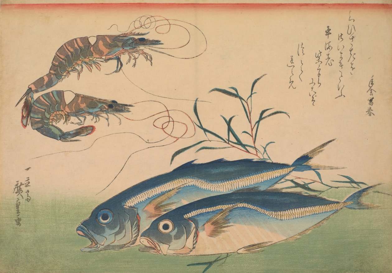 Sériole (Aji) avec crevette, avec inscription - Utagawa Hiroshige