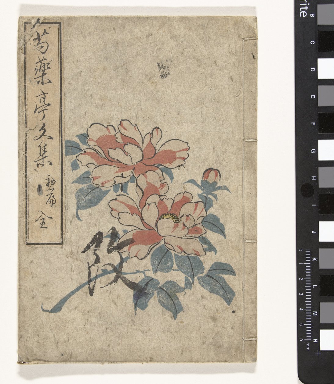 Anthologie de pivoines - Utagawa (school of)