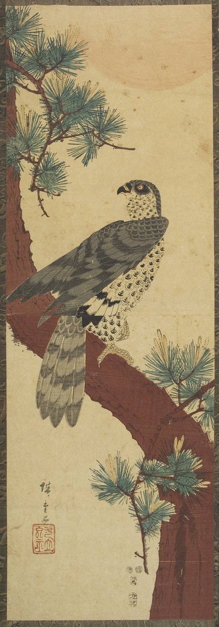 (Faucon sur branche de pin, été), septembre 1853 - Utagawa Hiroshige