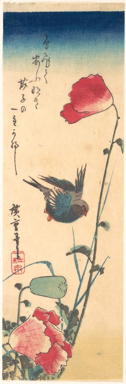 Ein Blaukehlchen und Mohnblumen - Utagawa Hiroshige