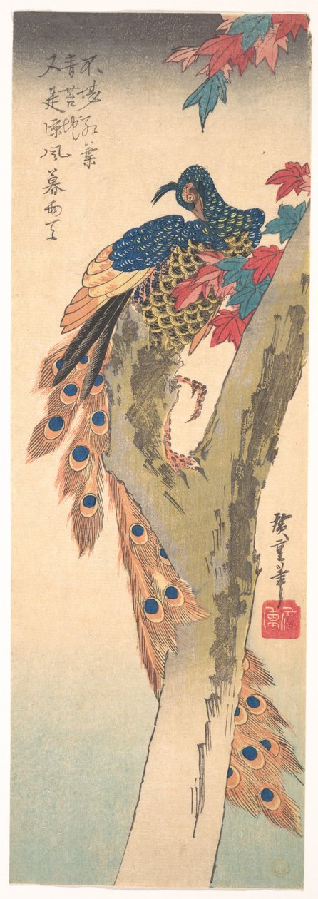Un paon perché sur un érable - Utagawa Hiroshige